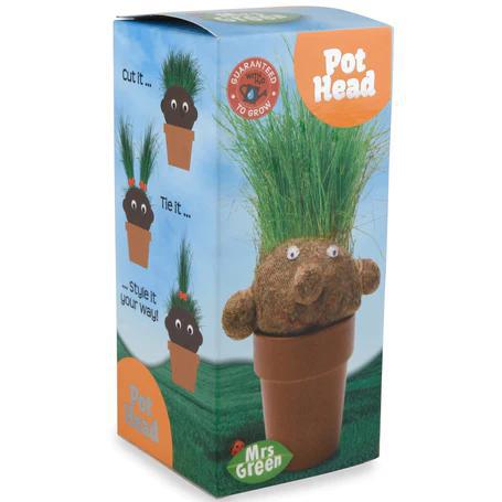 Grow a Pot Head Plant