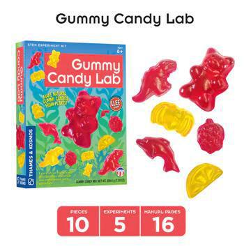 Gummy Bear Candy Lab