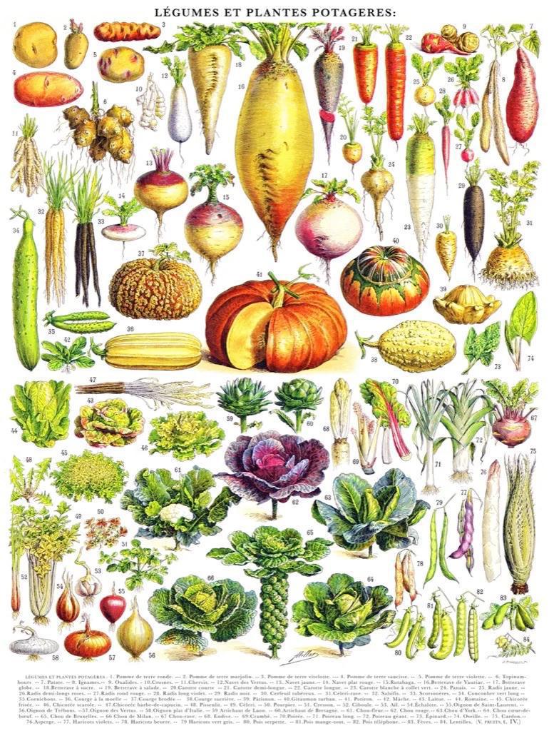 Vegetables - Legumes Puzzle (1000 piece)