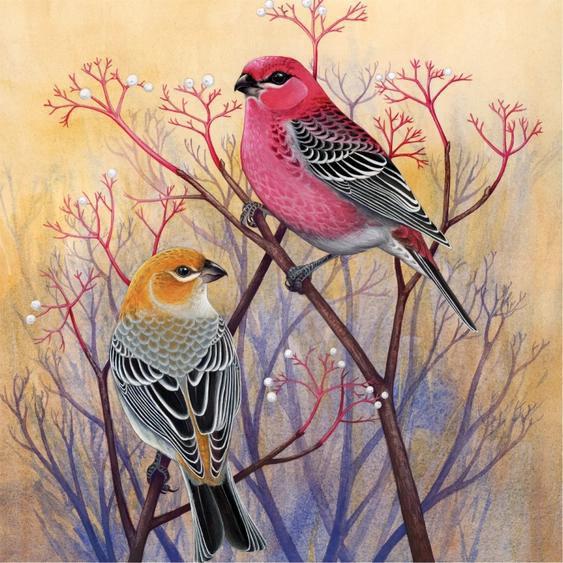 500 piece Pine Grosbeaks Puzzle