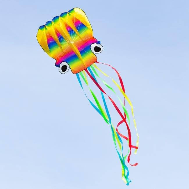 Rainbow Octopus Kite