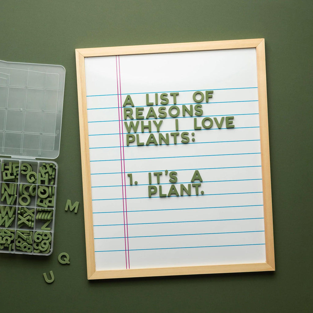 Deluxe Magnetic Noteboard Slate
