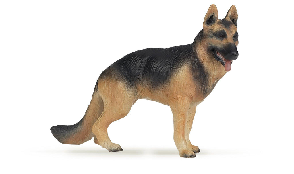 German Shepard