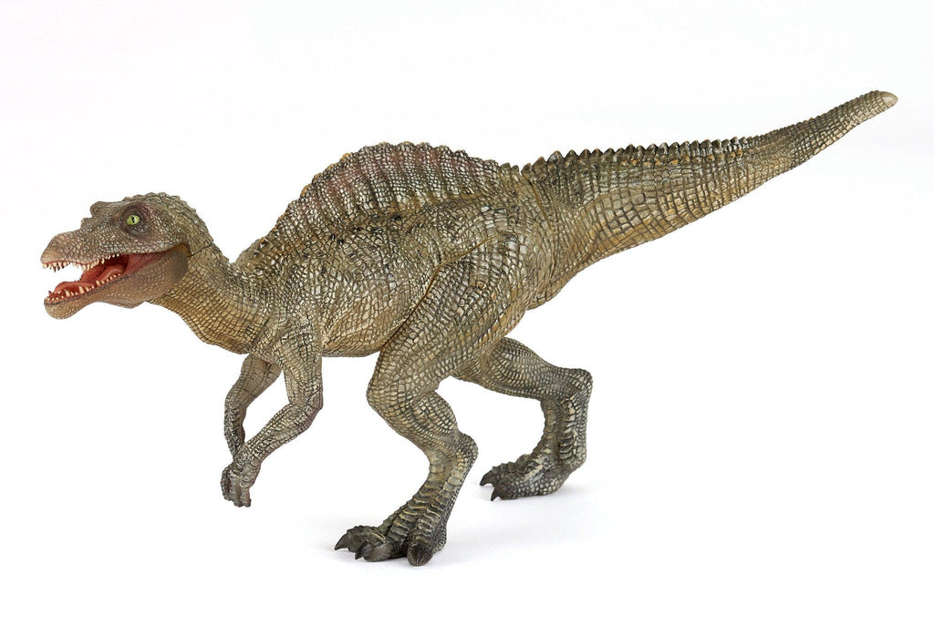 Young Spinosaurus