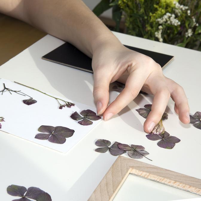 Huckleberry Pressed Flower Frame